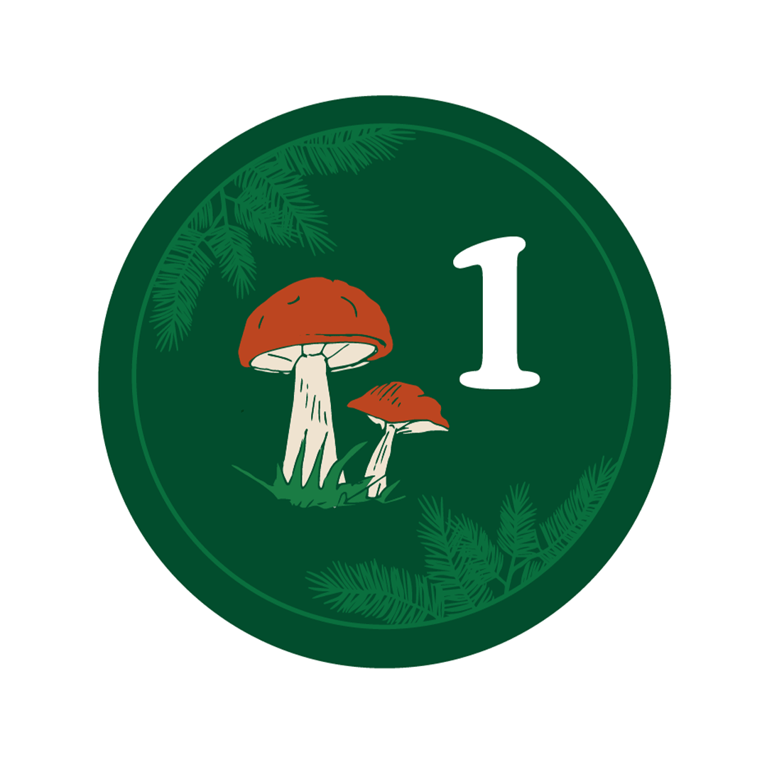 Day 1