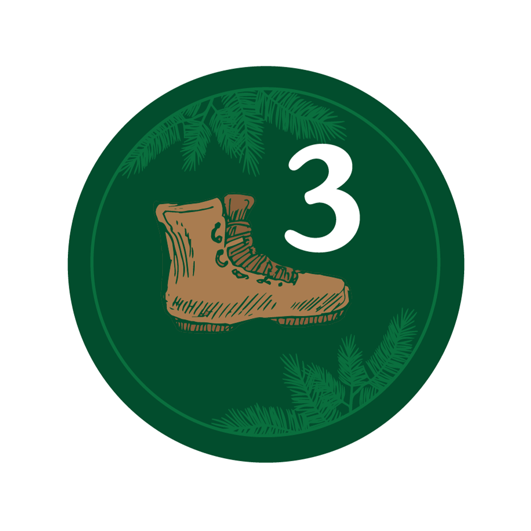 Day 3