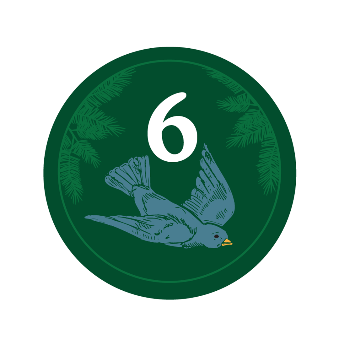 Day 6