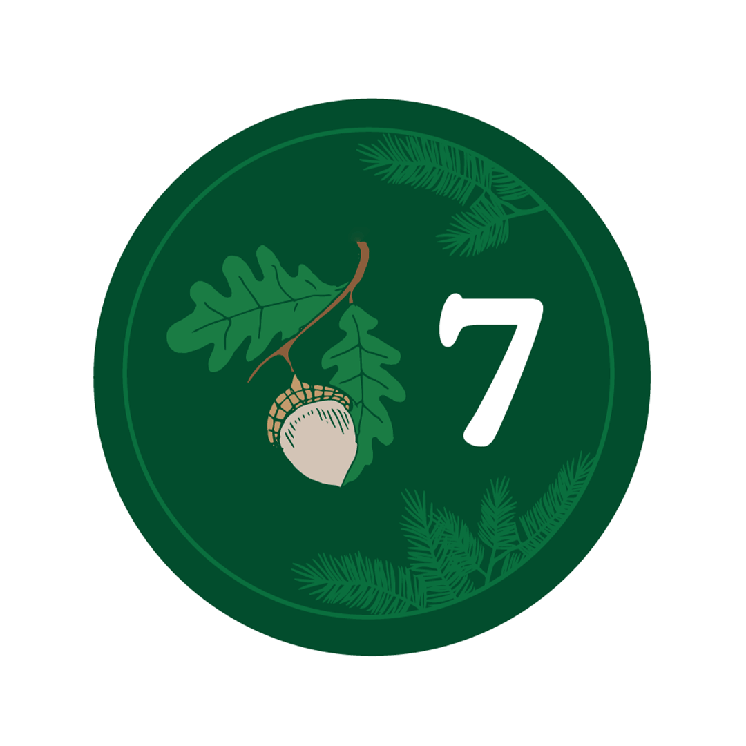 Day 7