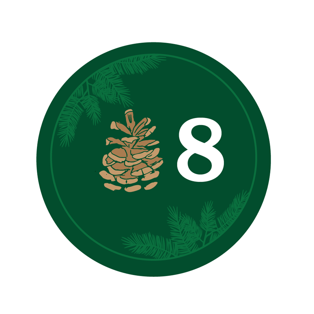 Day 8