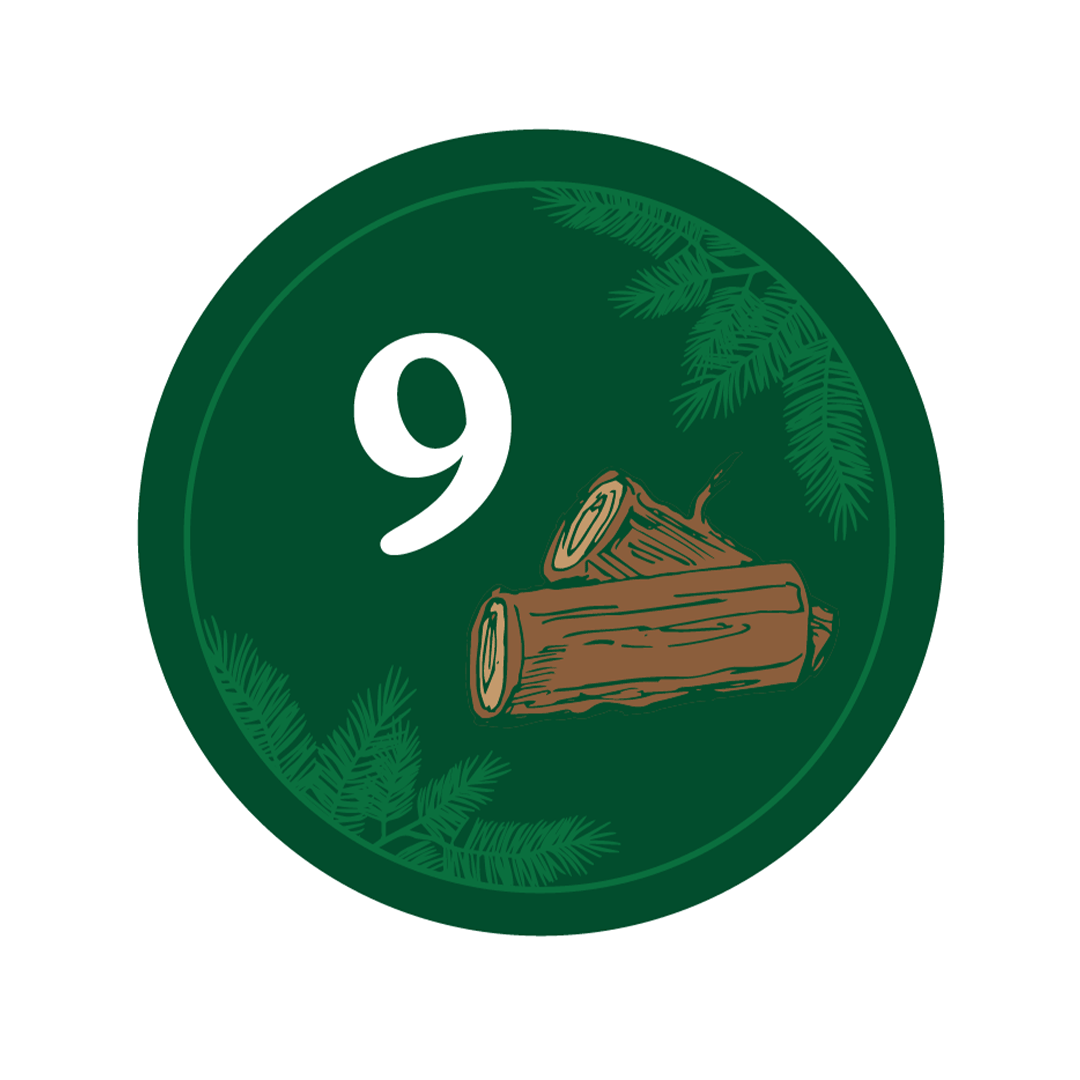 Day 9