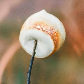 lightly toasted marshmallow
