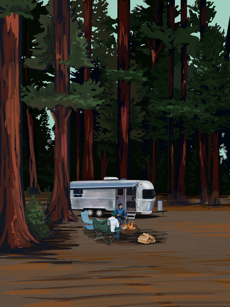 The Latest Camping Trends