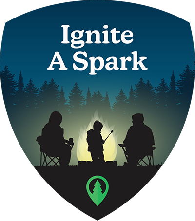 Ignite A Spark