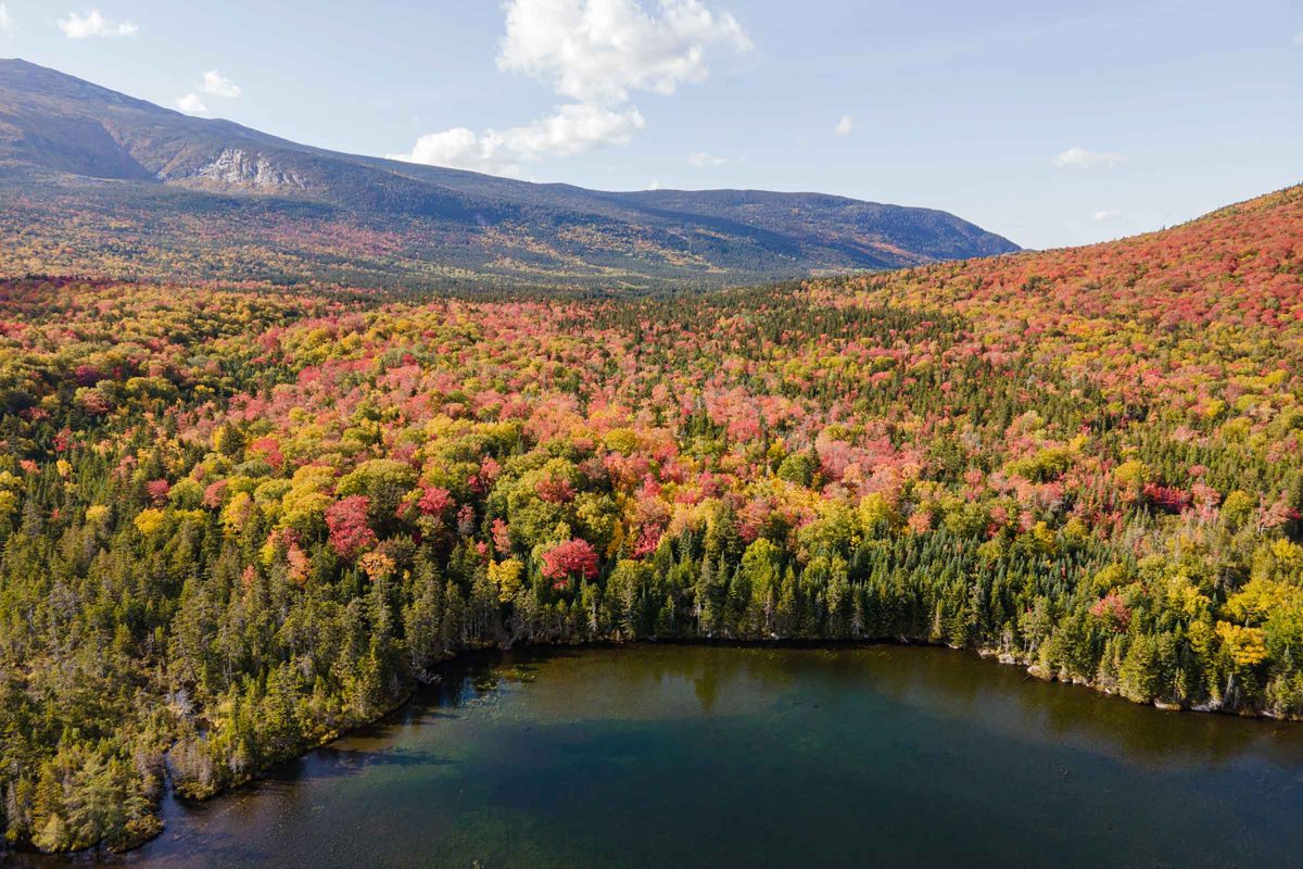 An aerial shot of a body of water surrounded by a forest with peak fall foliage.