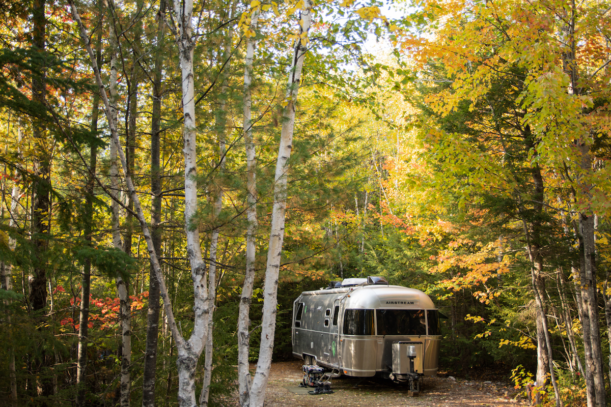 An Airstream trailer parked at a campsite at Wild Fox Cabins and Campground in Maine surrounded by fall foliage