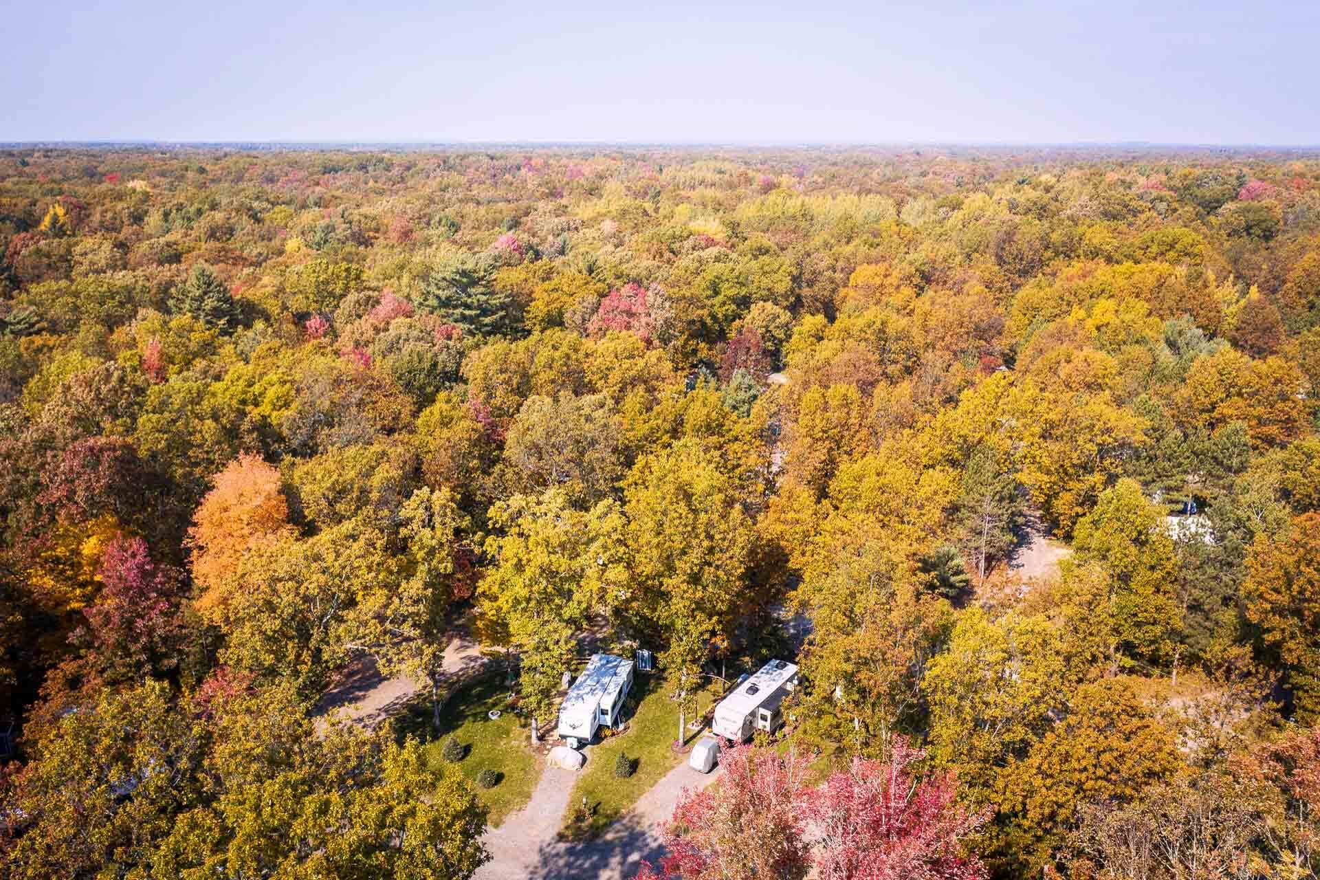 Explore Your Neck of the Woods