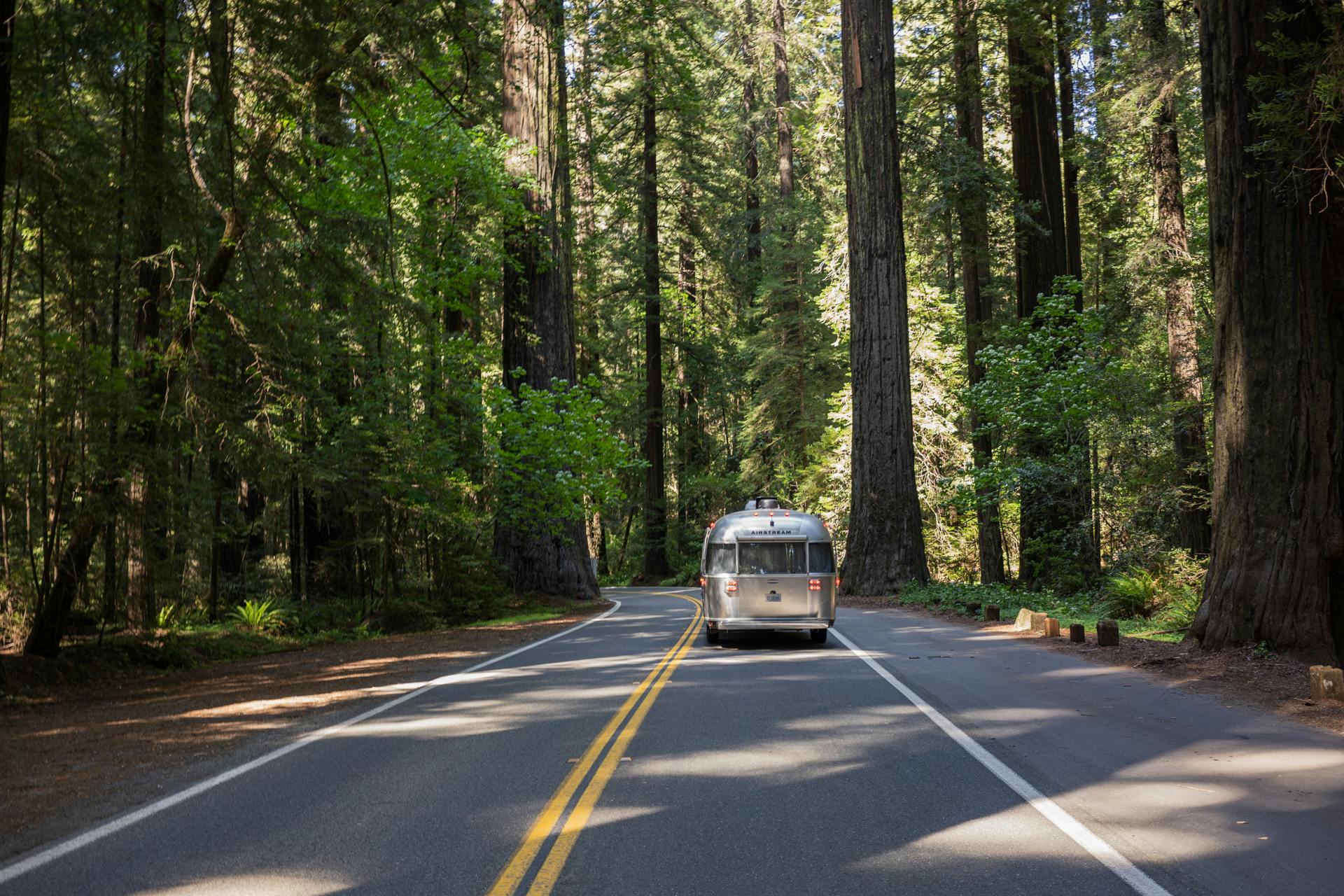10 Best Campgrounds in Northern California?