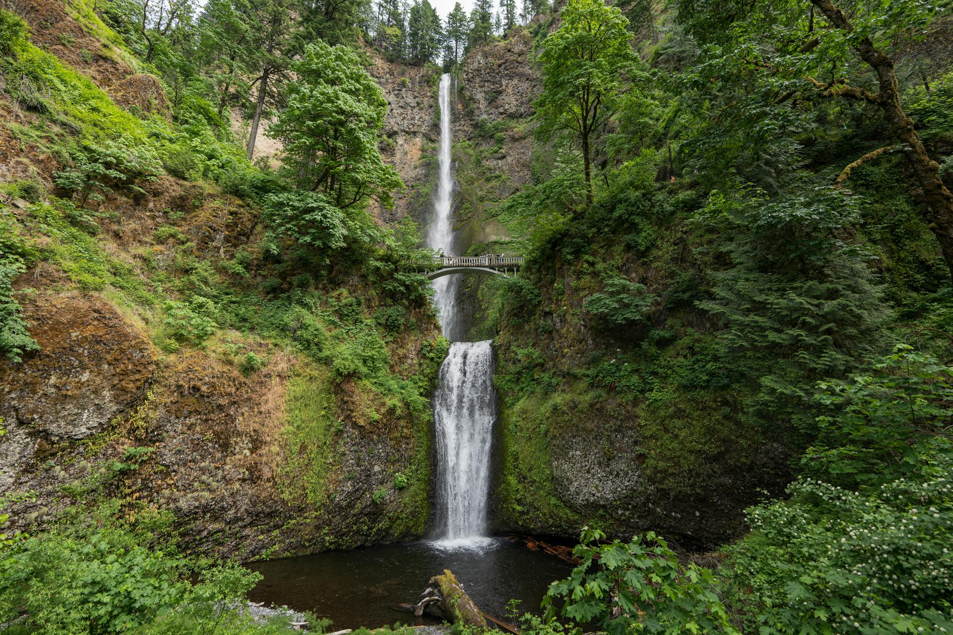 5 Campgrounds for the Ultimate Oregon Road Trip