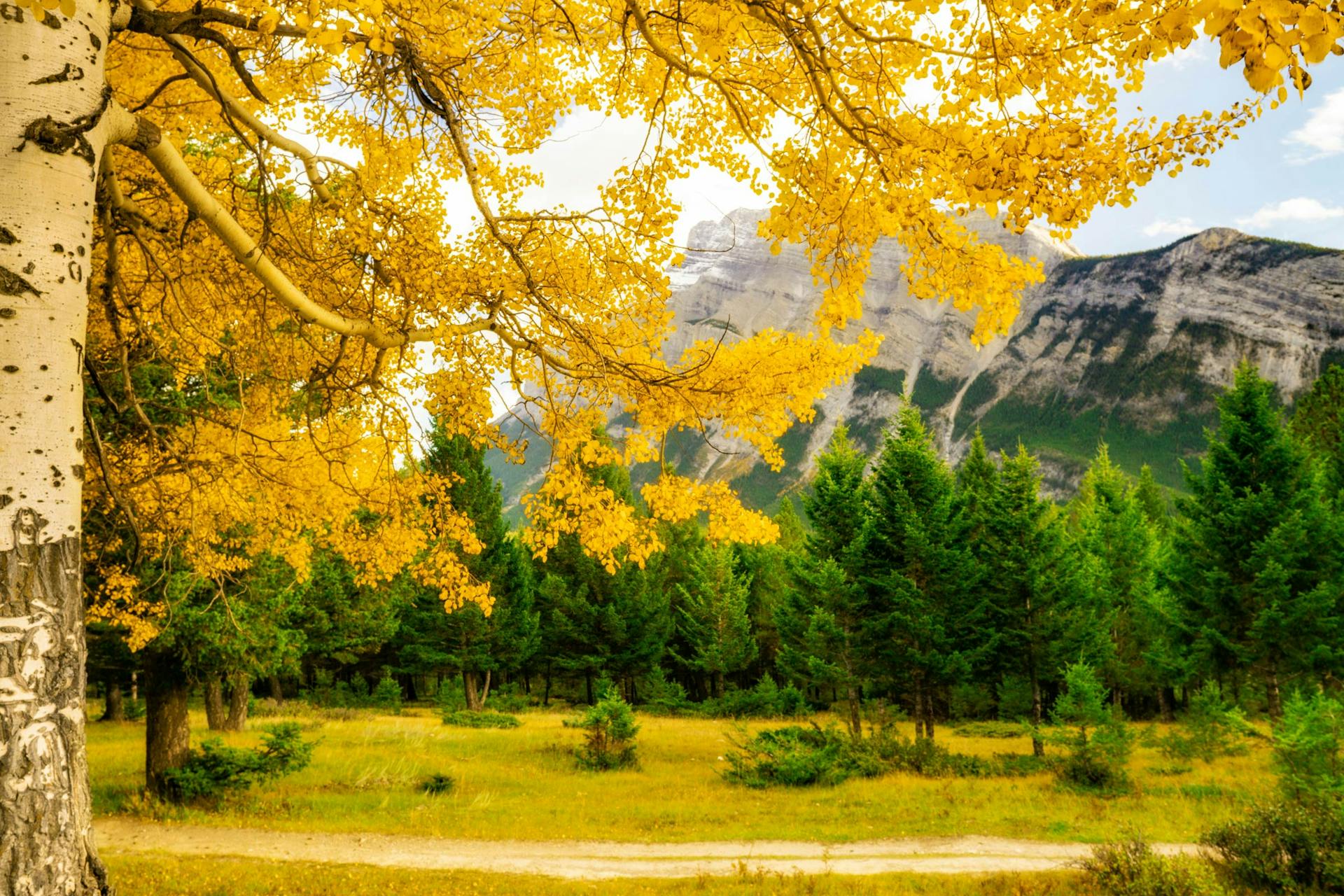 The 10 Best Campgrounds for Colorado Leaf Peeping