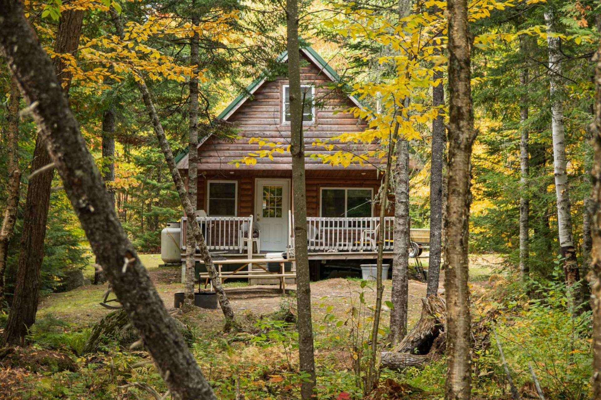The 15 Best Campgrounds With Cabins