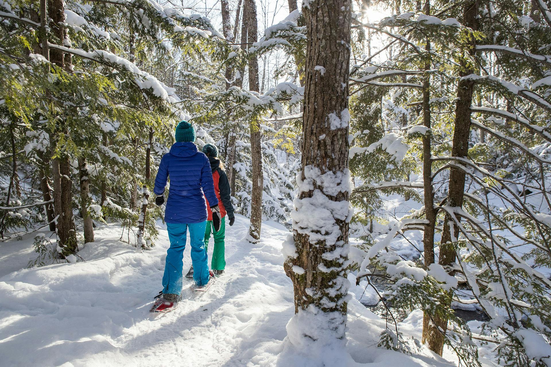 14 Snowshoeing Tips for Beginners