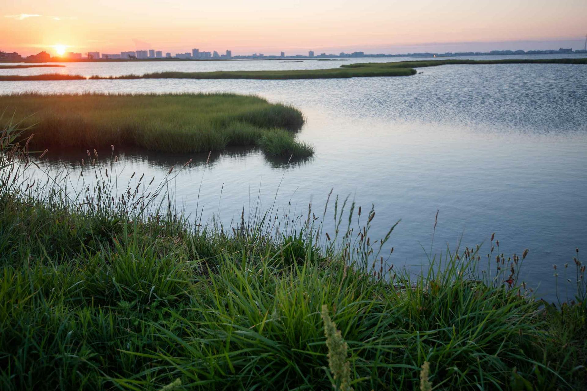 The 6 Best Campgrounds Near Ocean City, MD&nbsp;