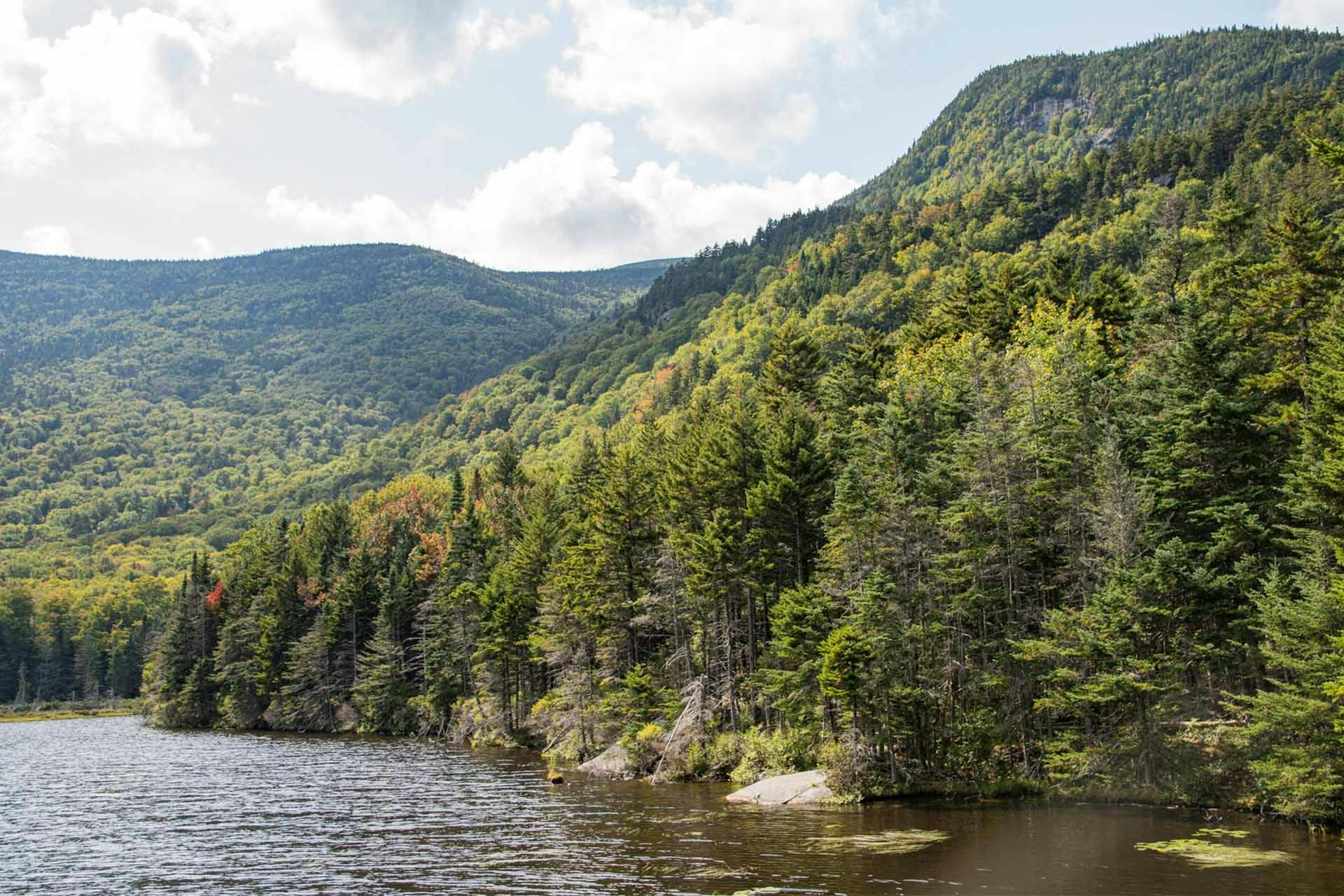 Top Campgrounds in Londonderry, New Hampshire