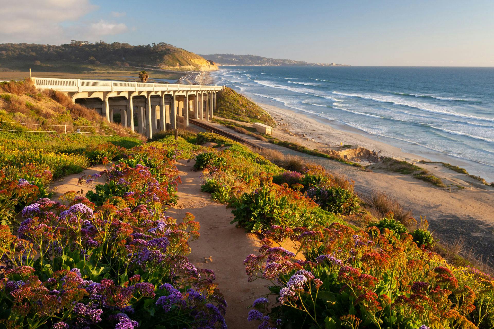 Top Campgrounds in San Diego, California