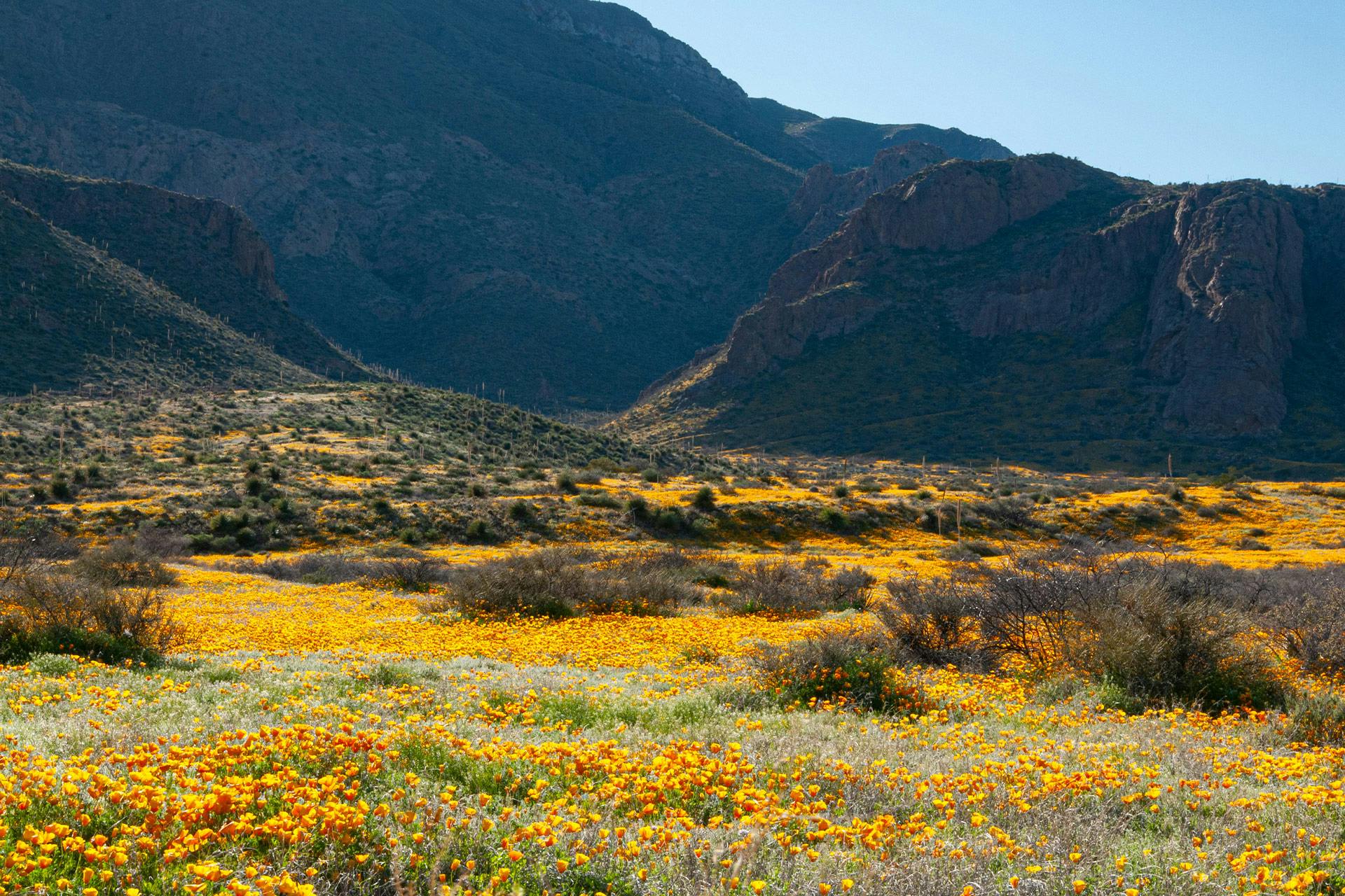 The Best Camping Near El Paso, Texas