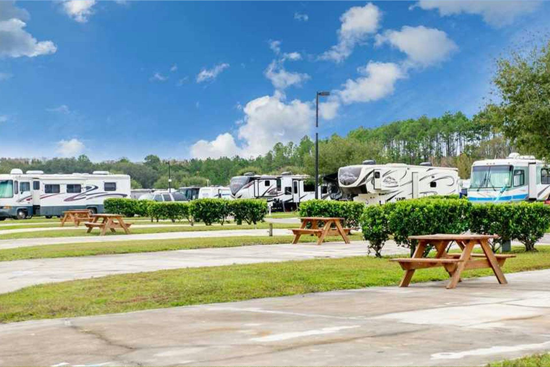 Top Campgrounds in Amelia Island State Park, Florida