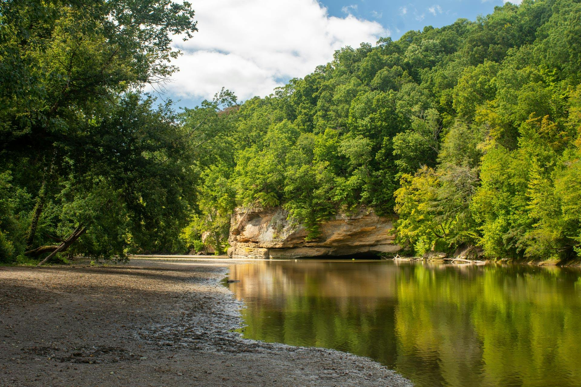 The Best Camping Near Turkey Run State Park, Indiana