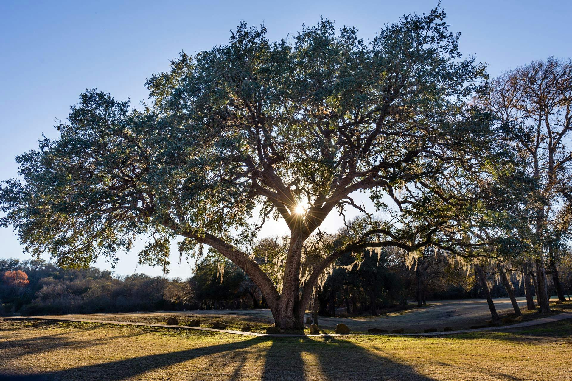 The Best Camping Near Lockhart State Park, Texas