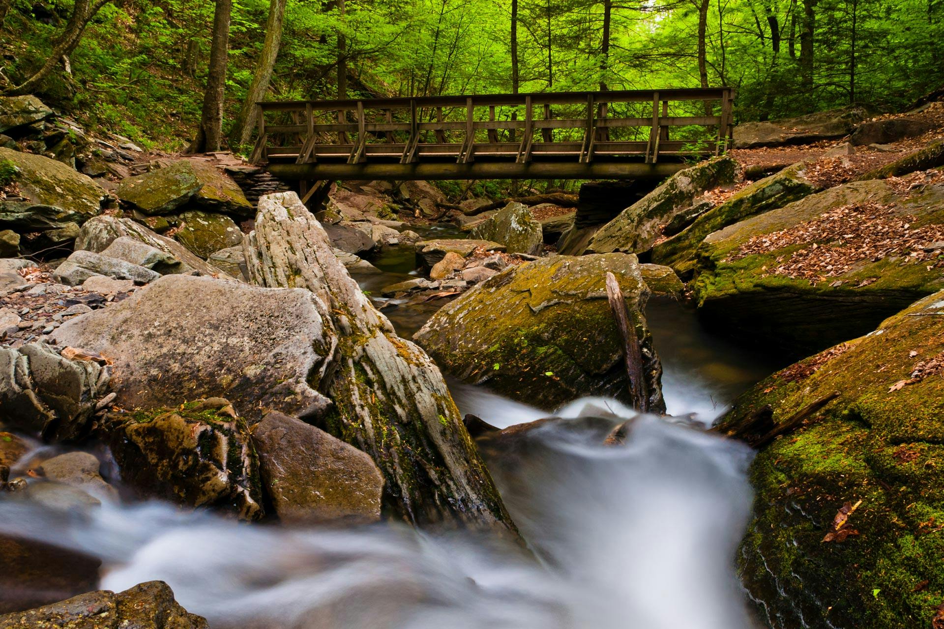 Top Campgrounds in Ricketts Glen State Park, Pennsylvania