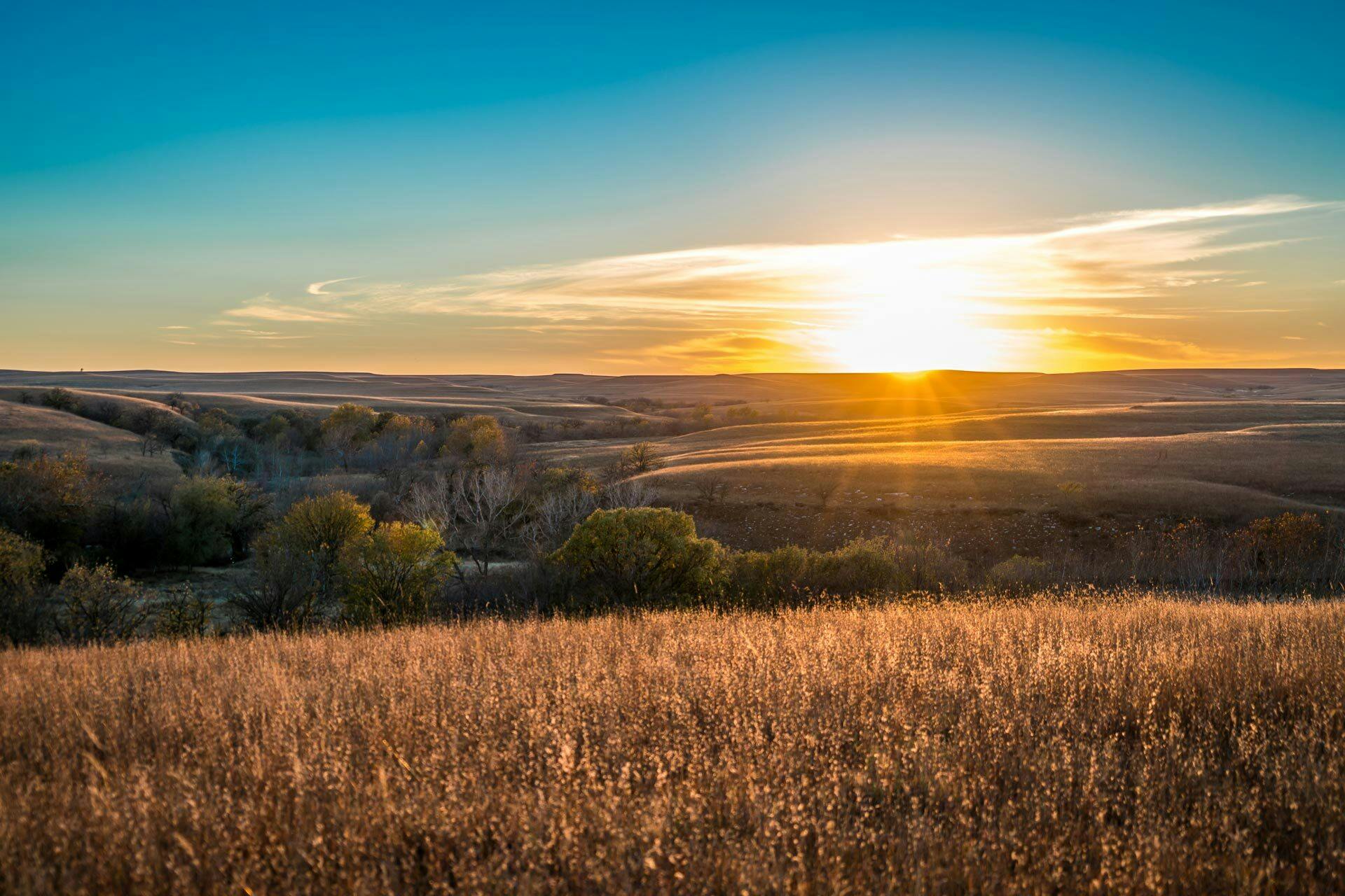 Top Campgrounds in Crawford State Park, Kansas