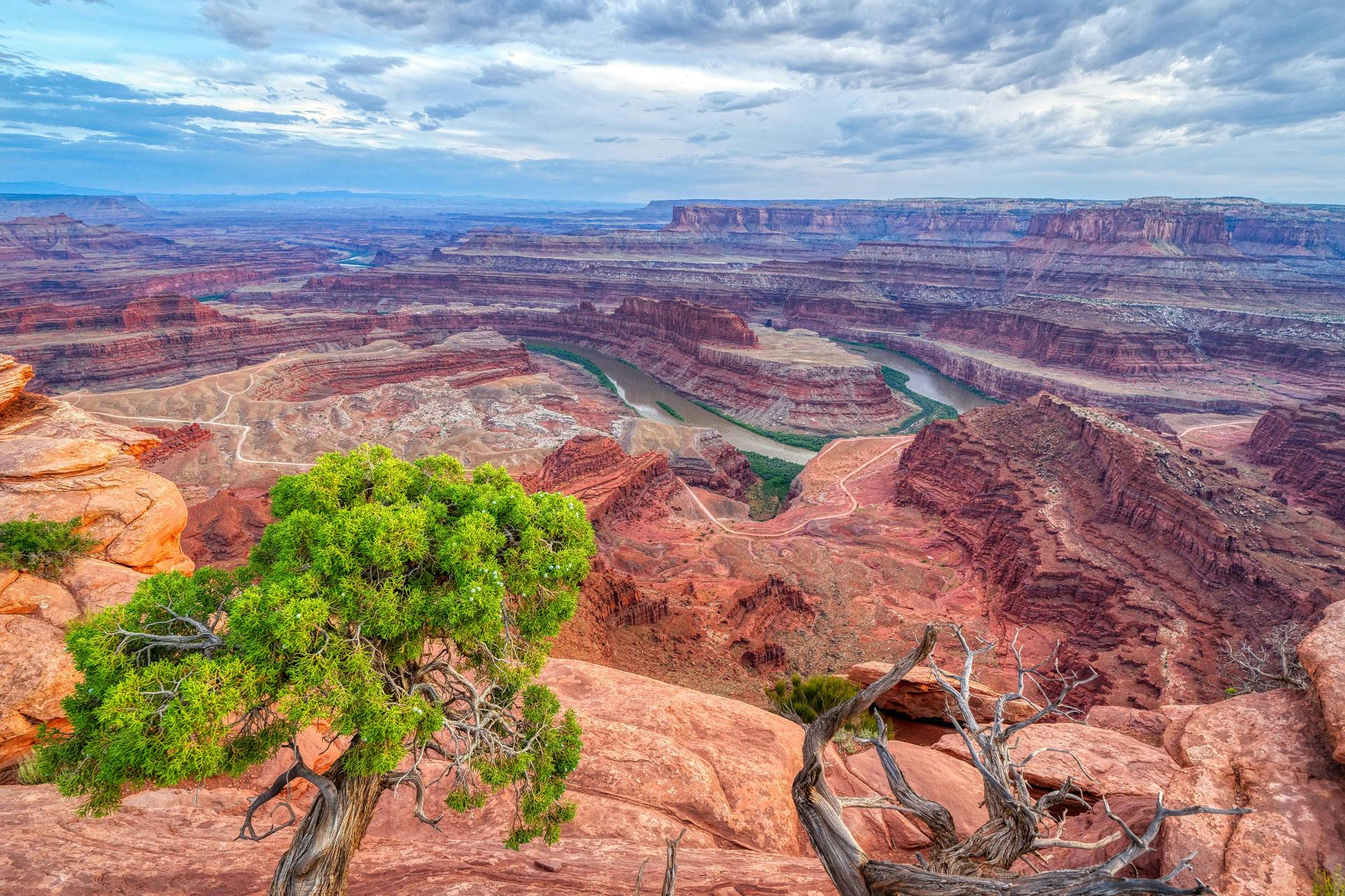 The Best Camping Near Dead Horse Point State Park, Utah