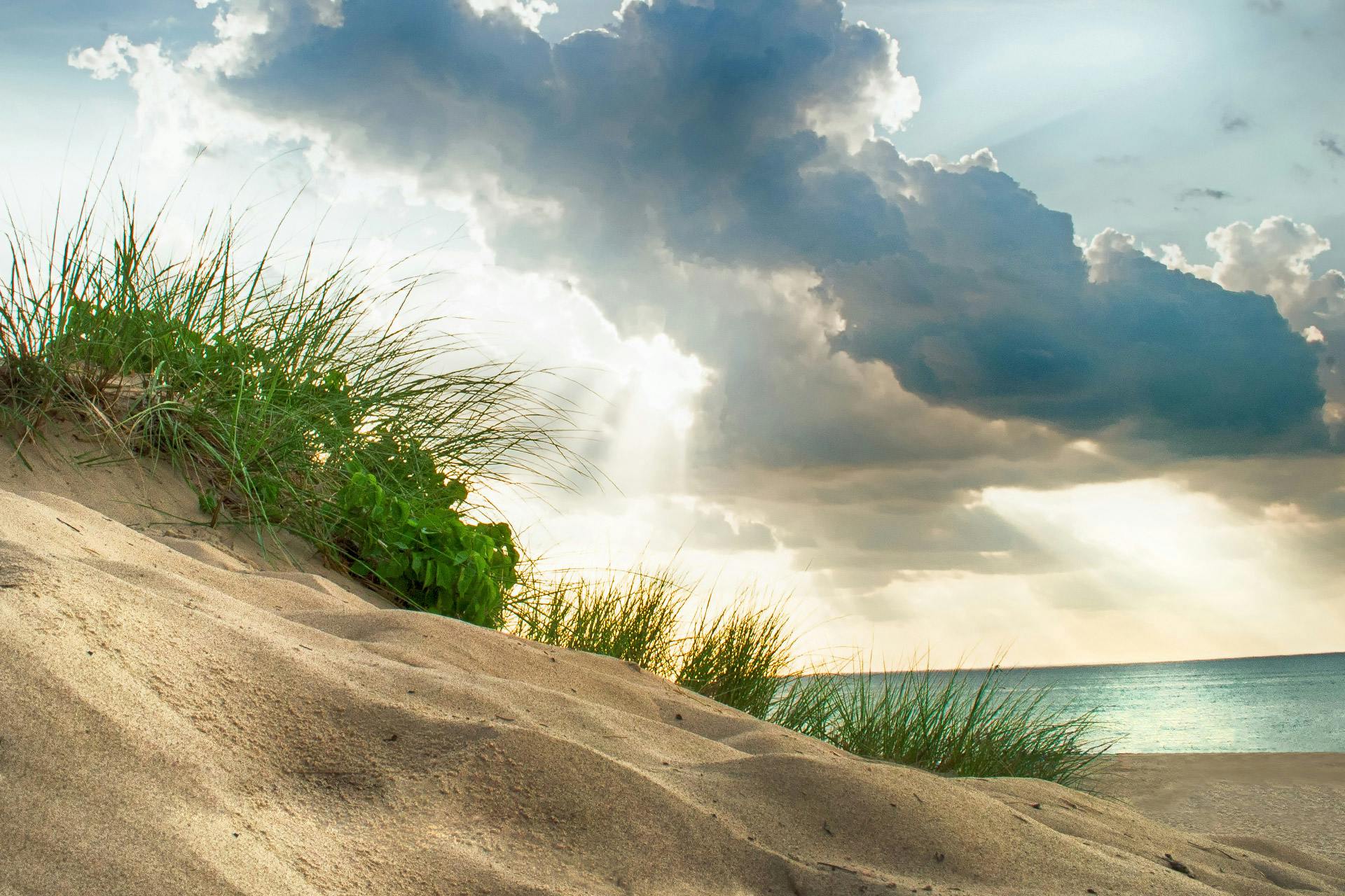 The Best Camping Near Indiana Dunes State Park, Indiana