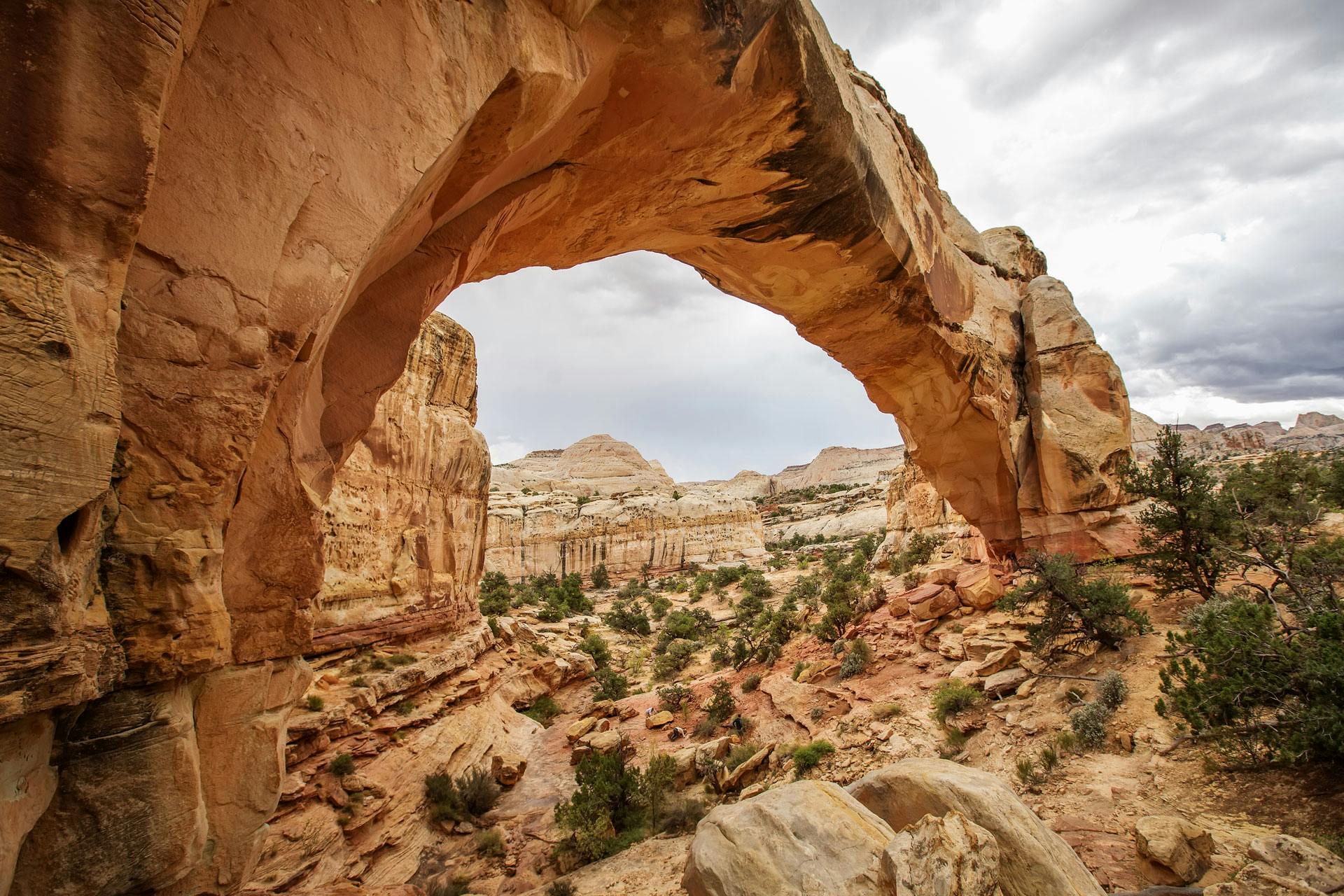 The Best Camping Near Capitol Reef National Park, Utah