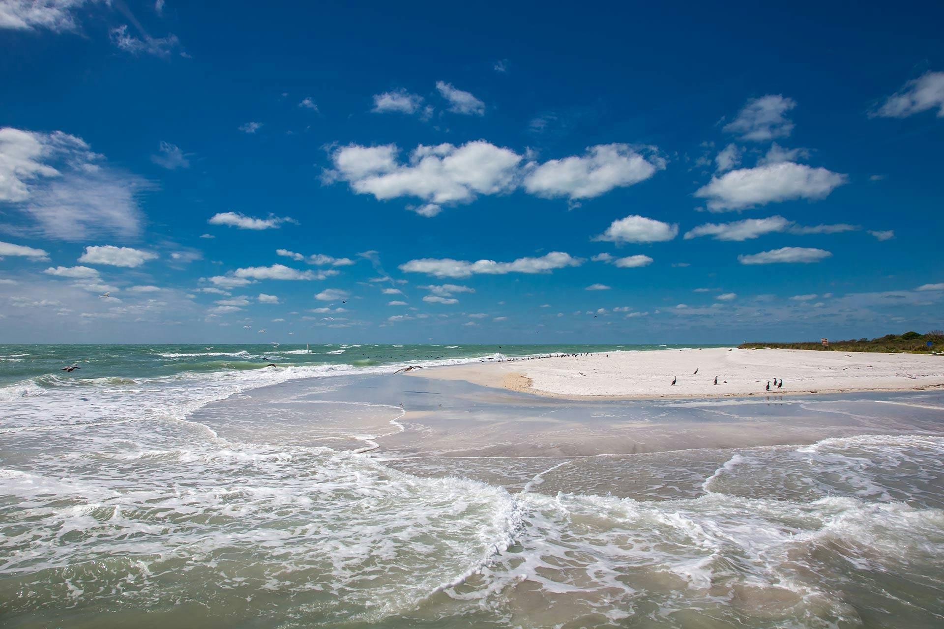 Top Campgrounds in Egmont Key State Park, Florida