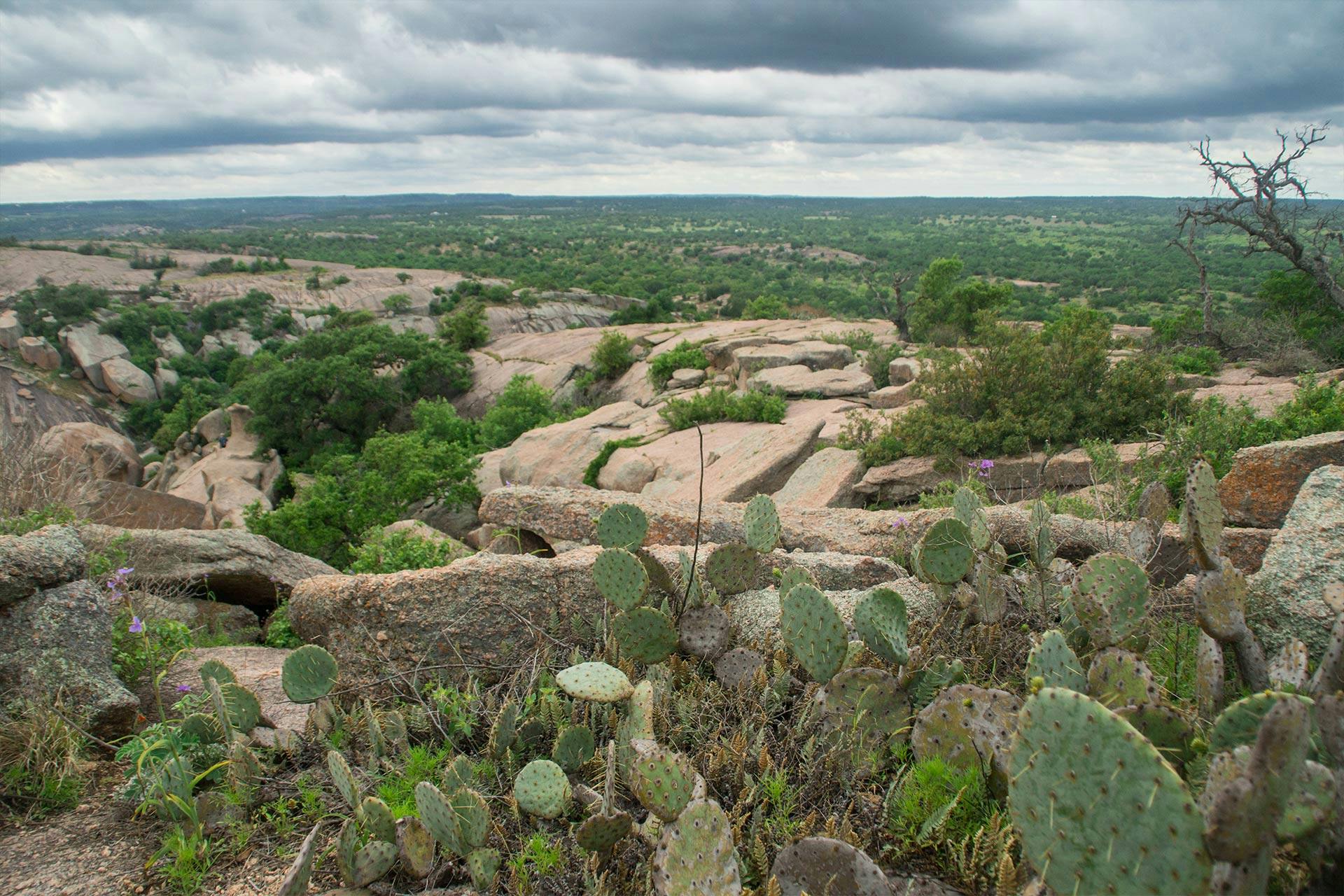 Top Campgrounds in Enchanted Rock State Natural Area, Texas