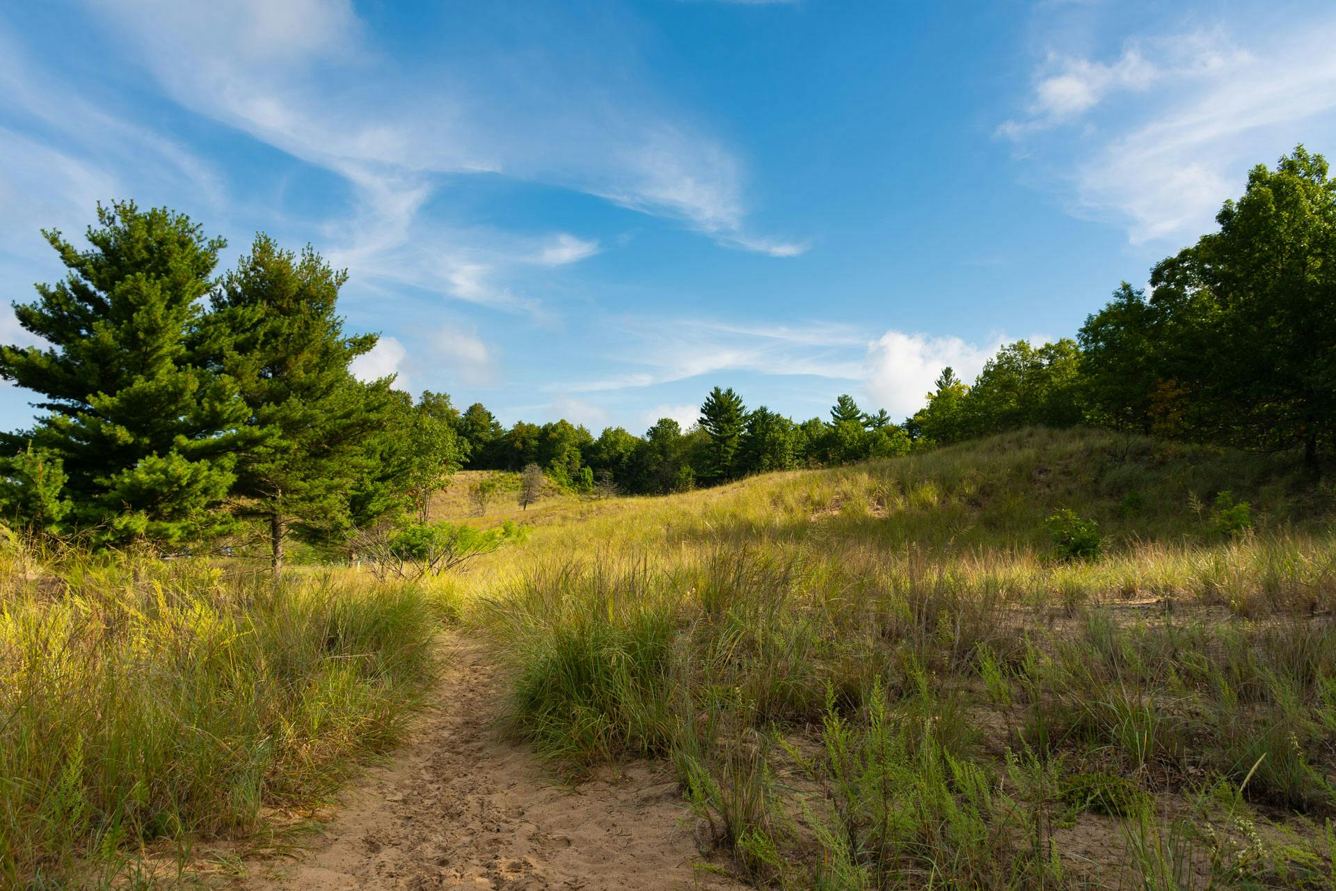 The Best Camping Near Indiana Dunes National Park, Indiana