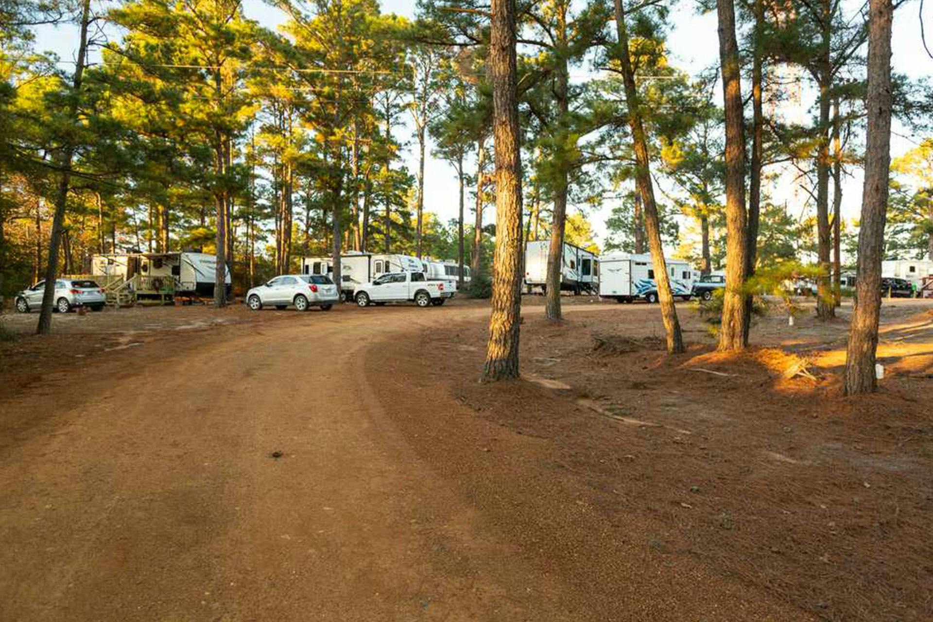 The Best Camping Near Bastrop State Park, Texas