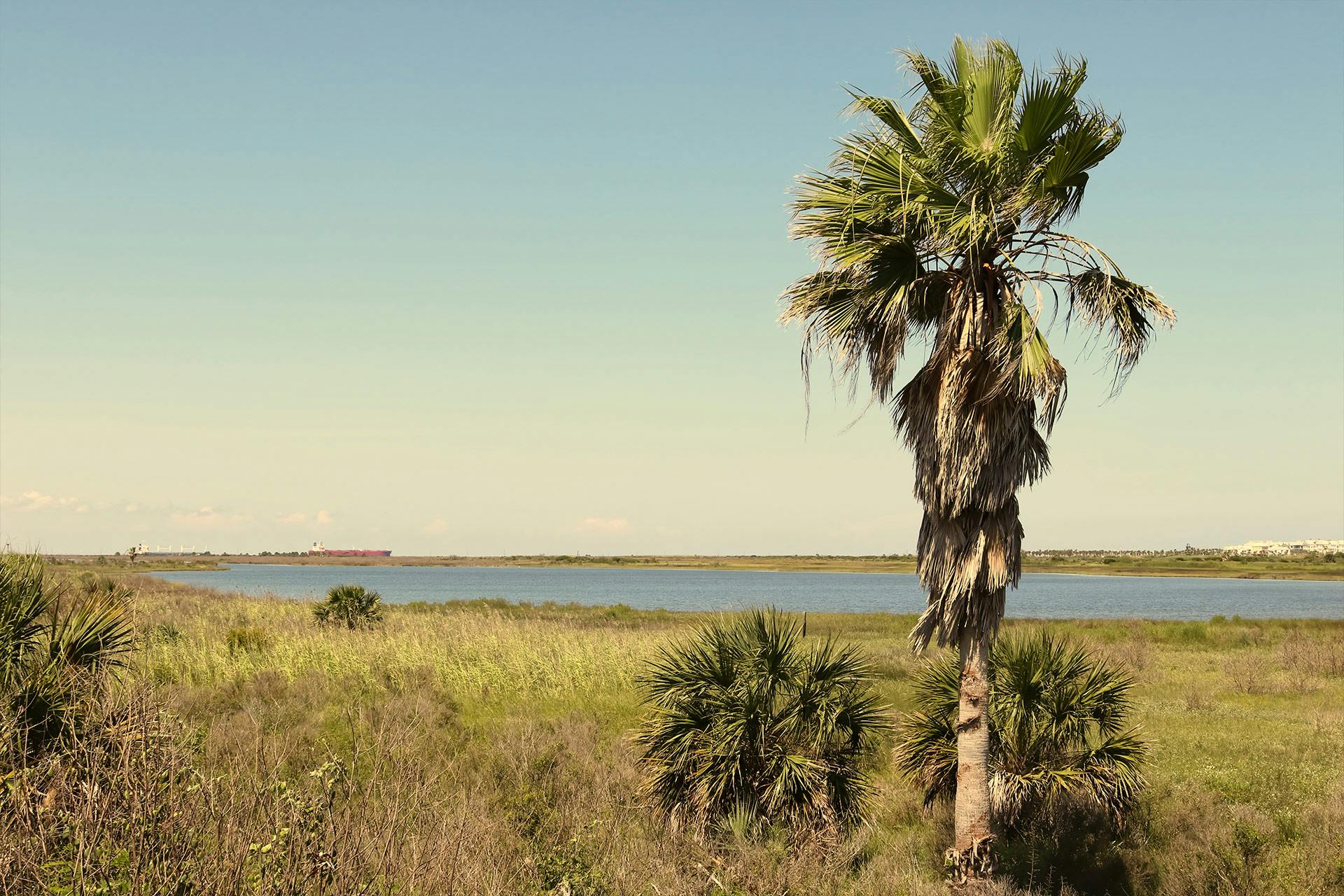 The Best Camping Near Sea Rim State Park, Texas