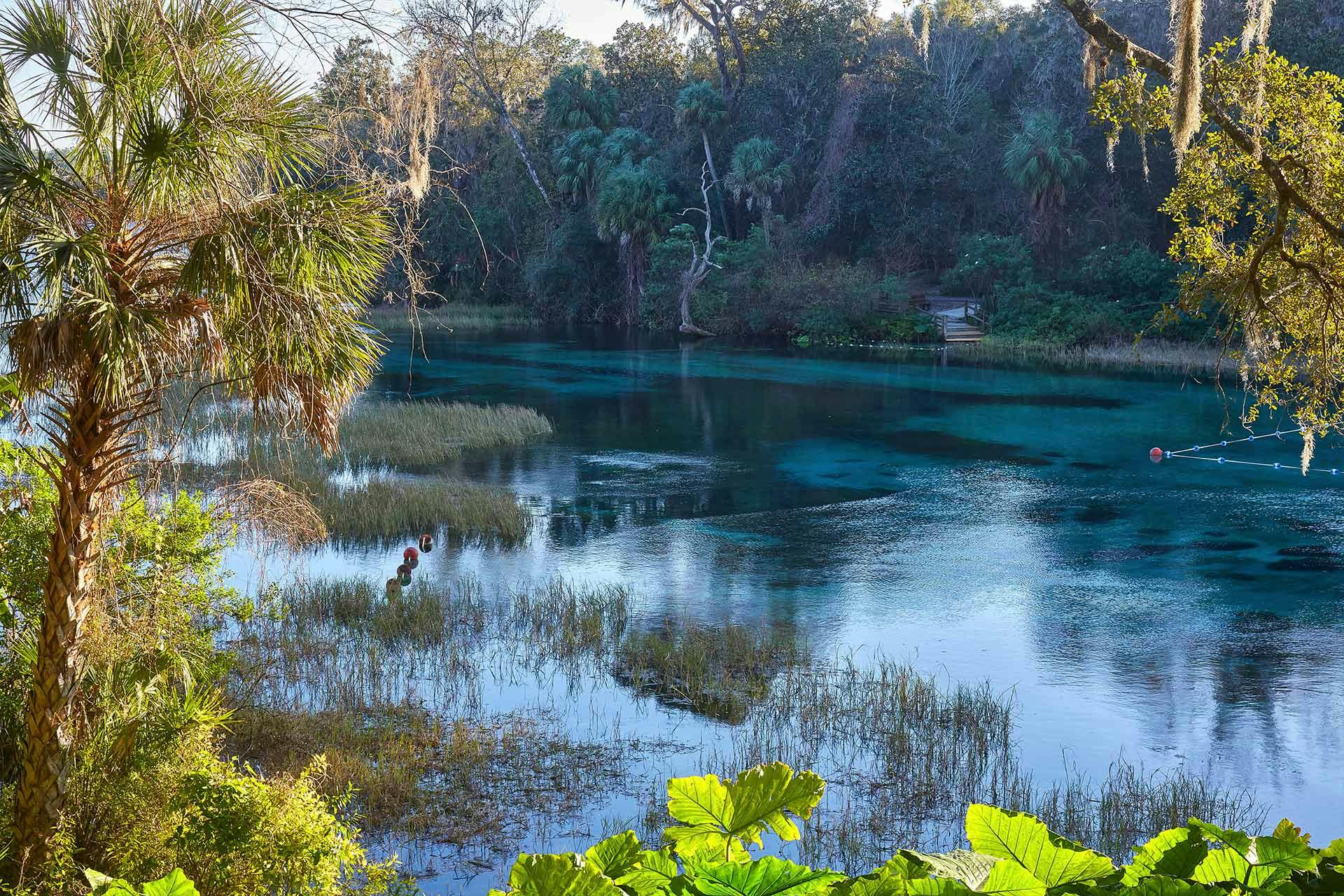 The Best Camping Near Rainbow Springs State Park, Florida