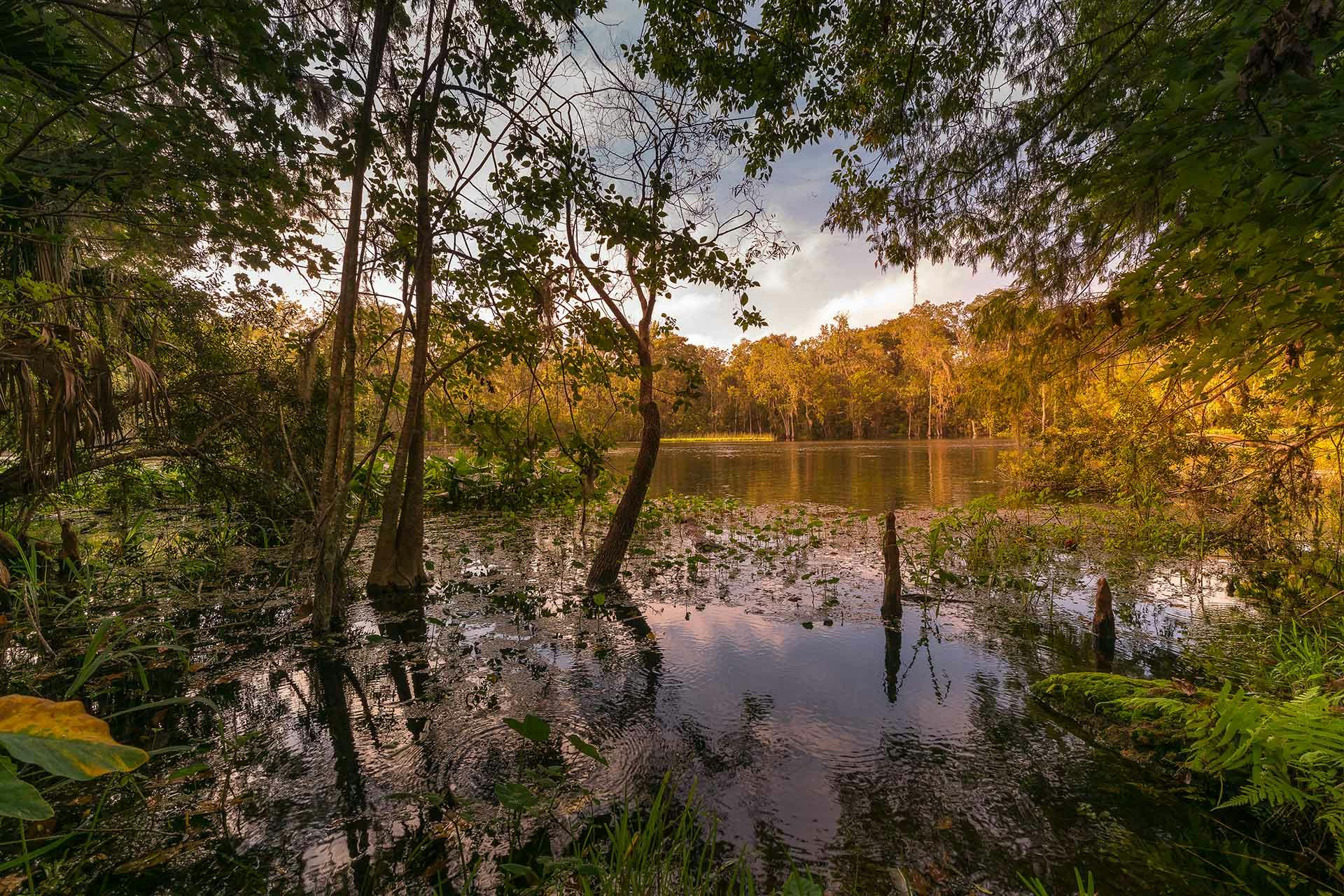 The Best Camping Near Silver Springs State Park, Florida