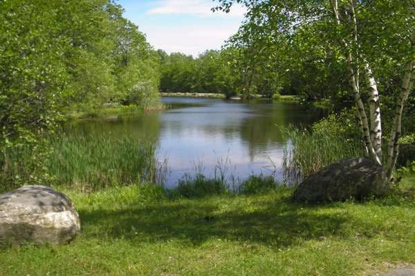 The Best Camping Near Westfield, Massachusetts