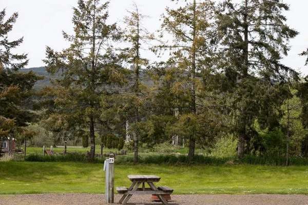 The Best Camping Near Newport, Oregon