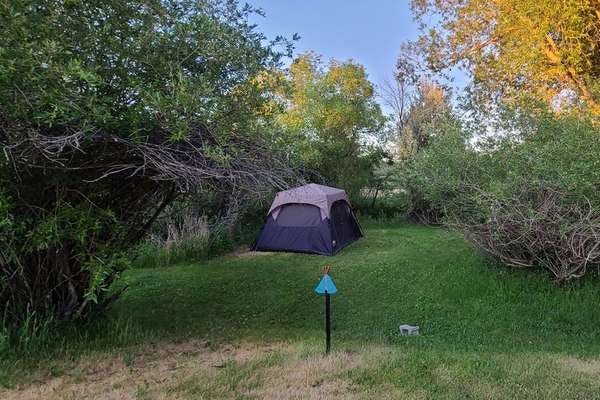 The Best Camping Near Buffalo, Wyoming