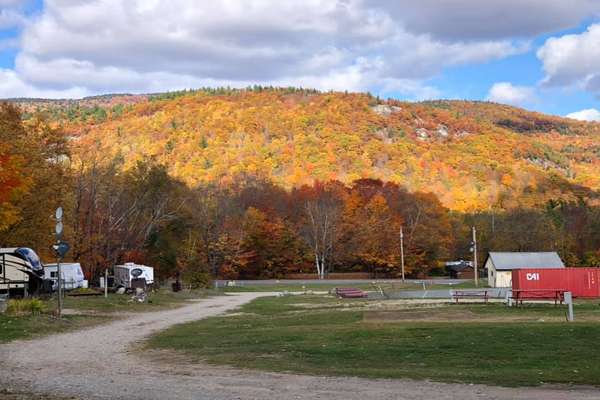 White Birches Camping Park