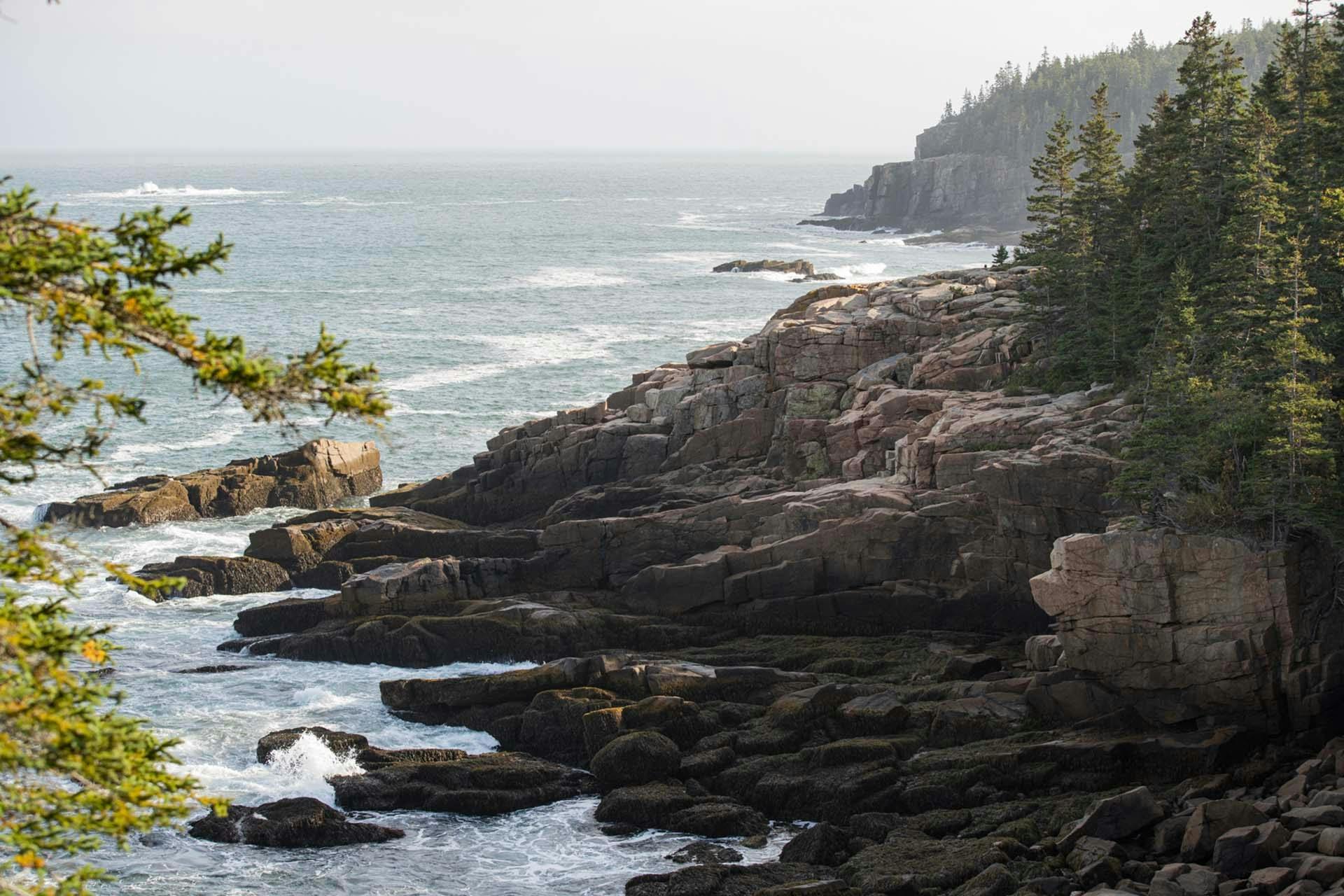 Top Campgrounds in Acadia National Park, Maine