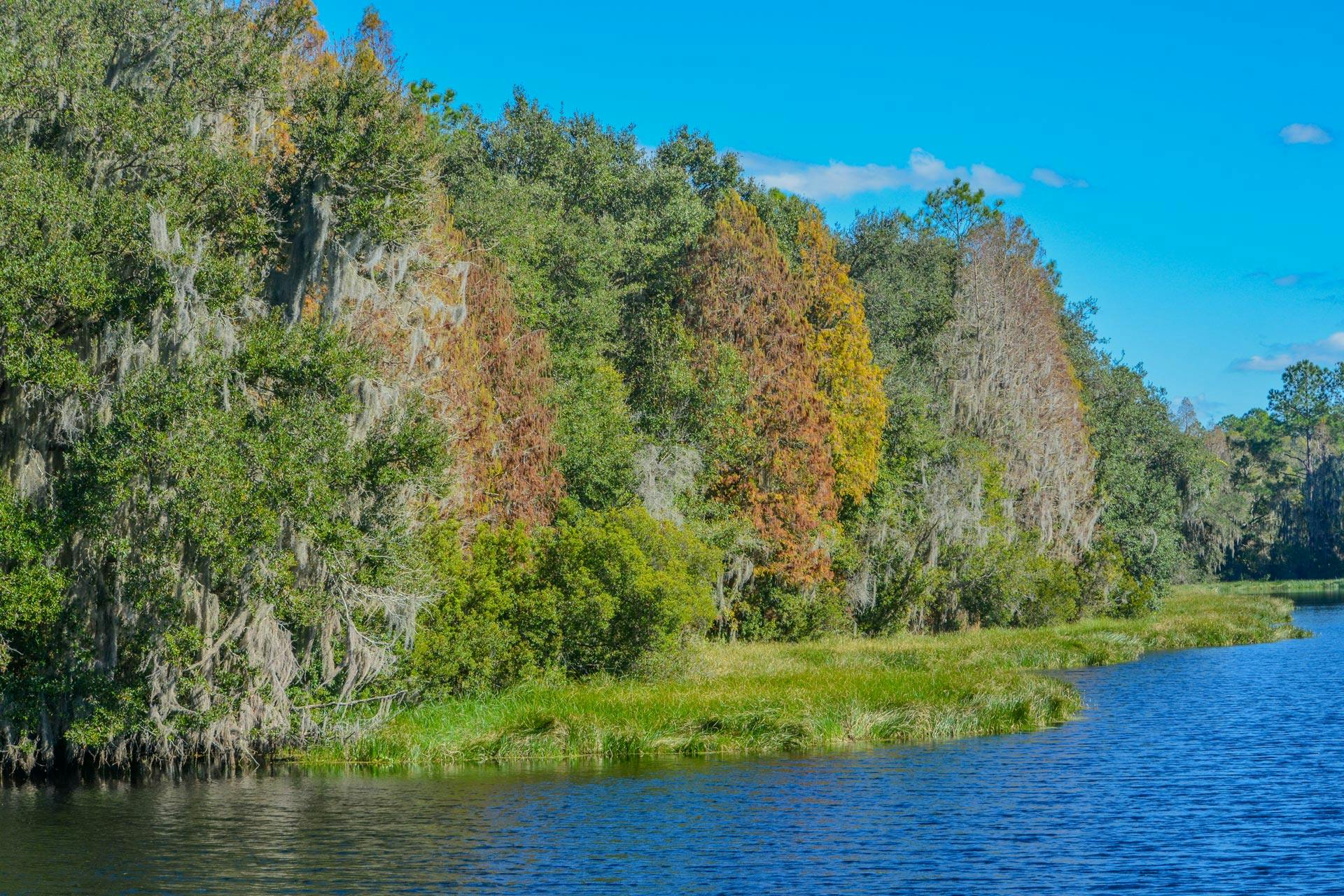 Top Campgrounds in Alafia River State Park, Florida