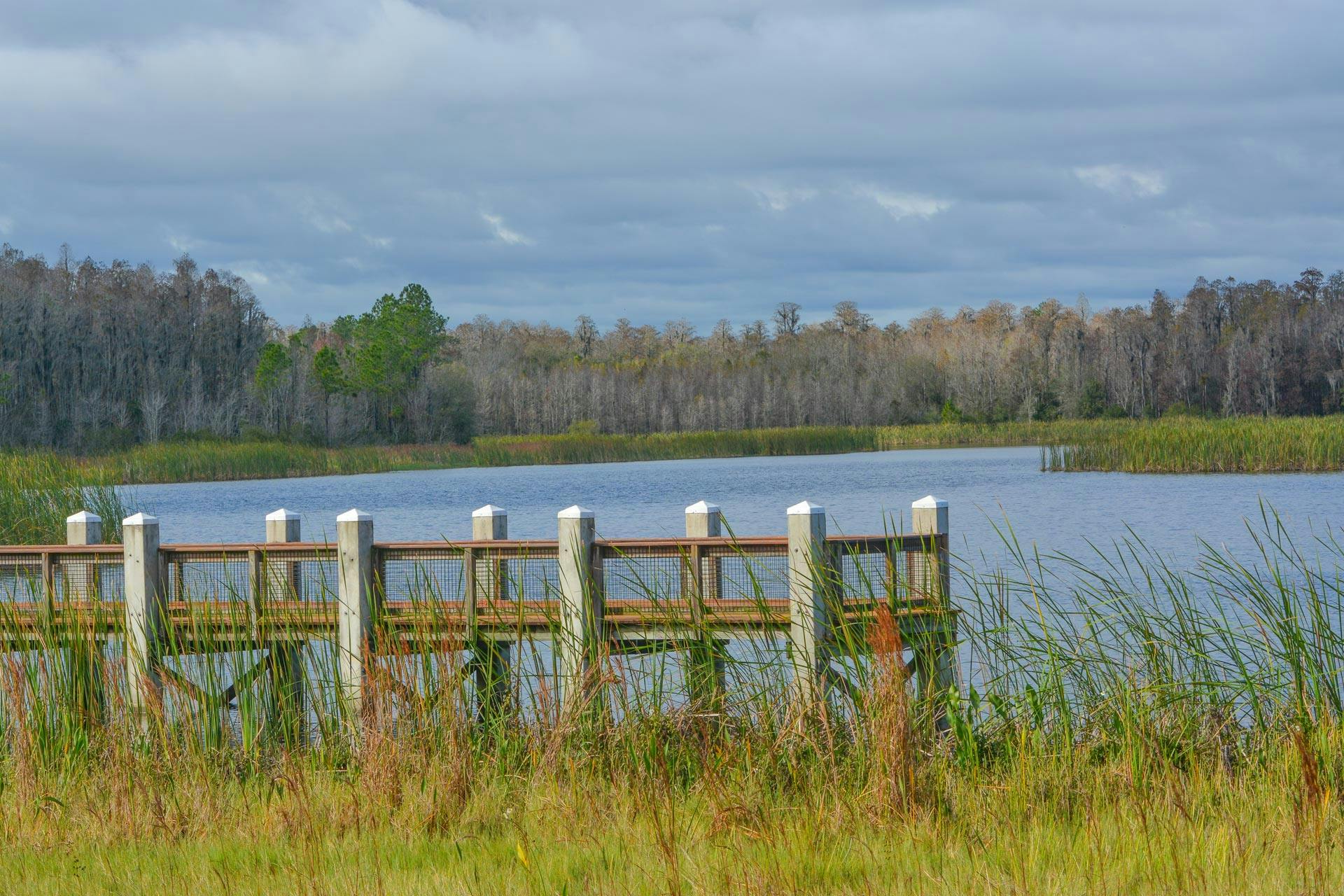 Top Campgrounds in Colt Creek State Park, Florida