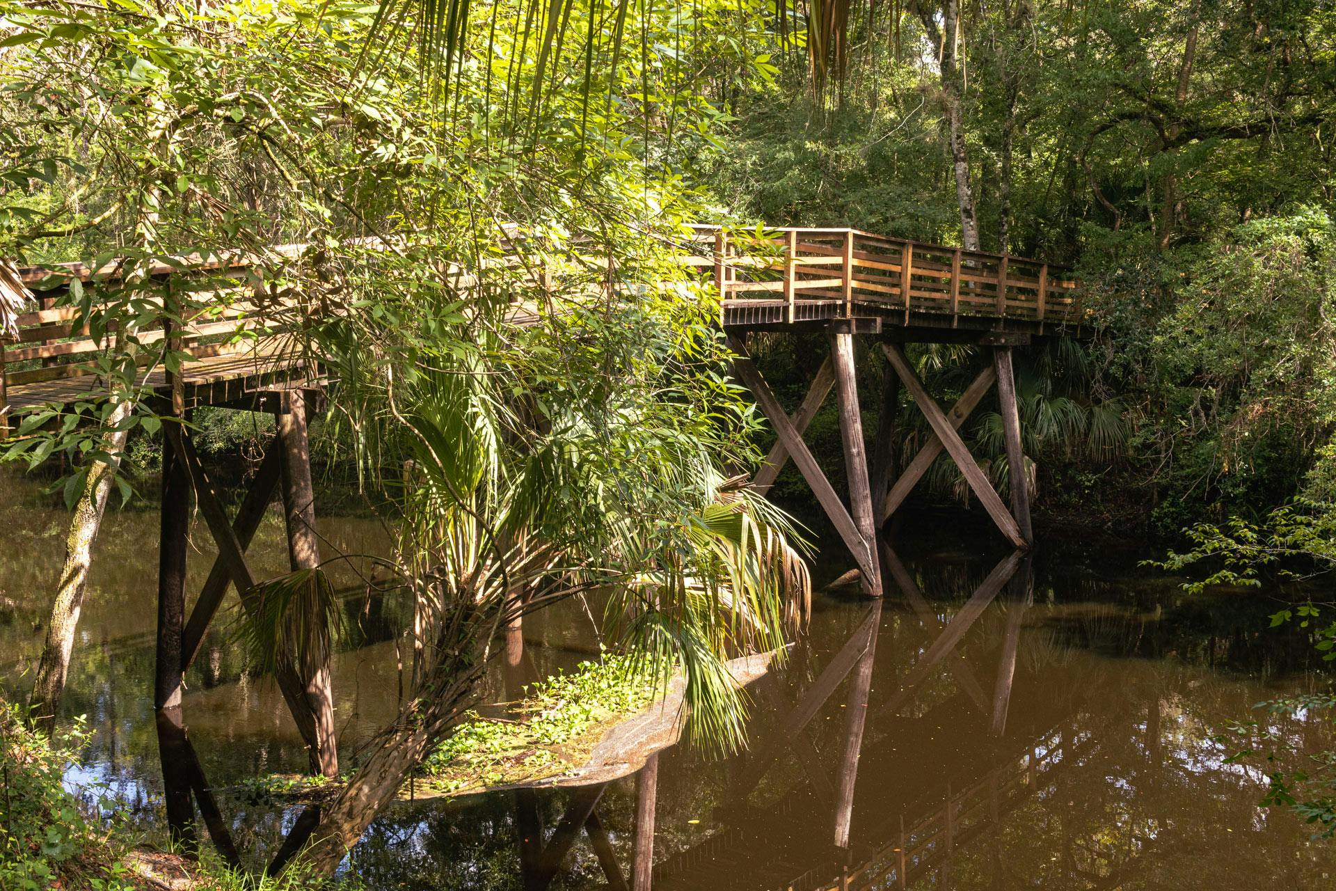 Top Campgrounds in Hillsborough River State Park, Florida