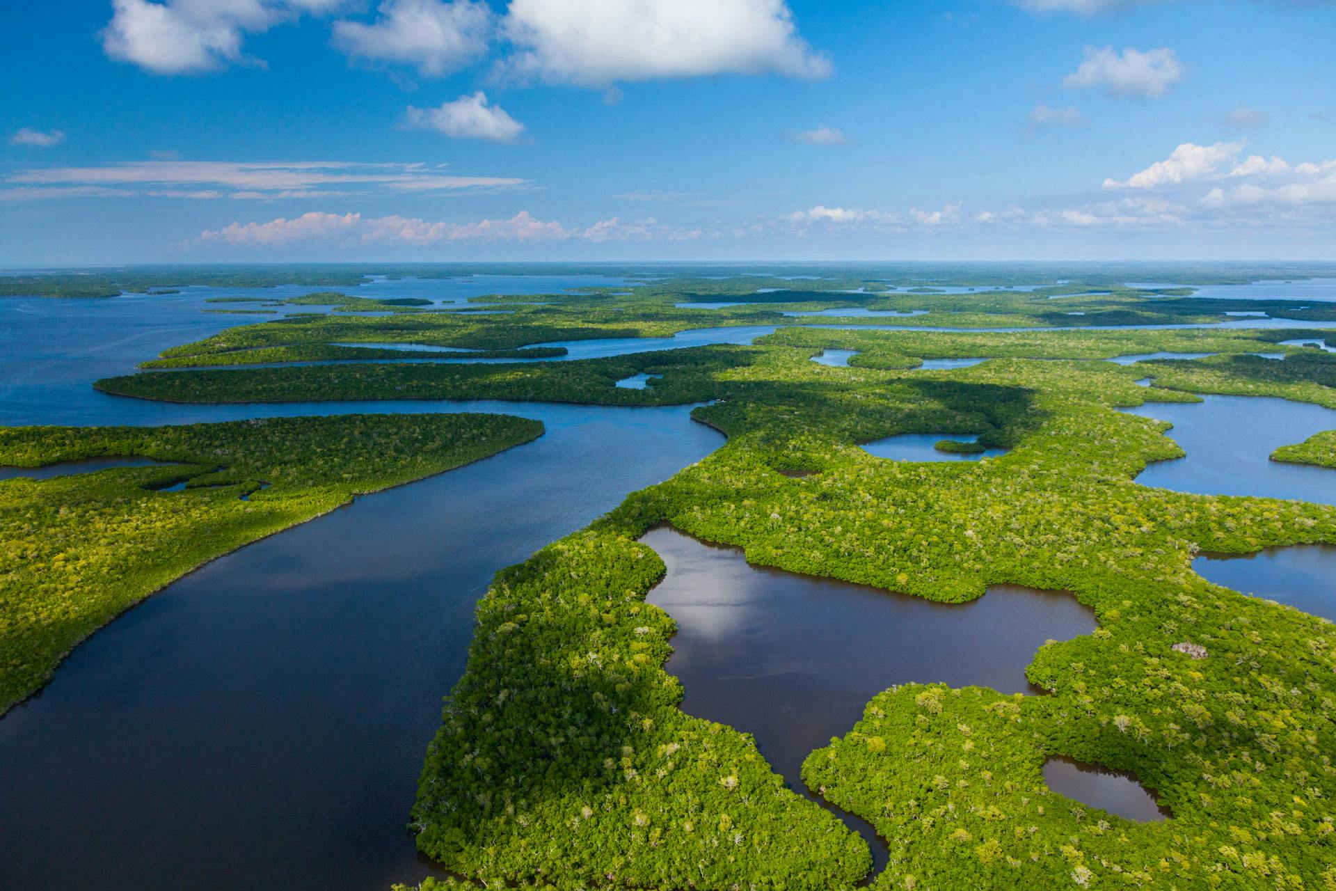 Top Campgrounds in Everglades National Park, Florida