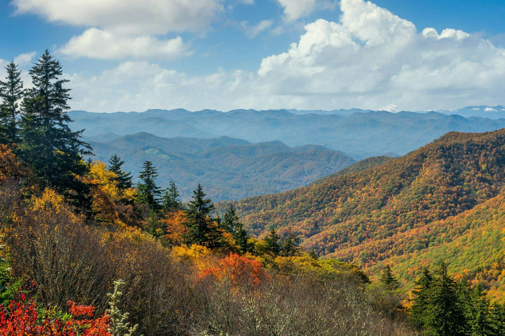 Top Campgrounds in Great Smoky Mountains National Park, Tennessee