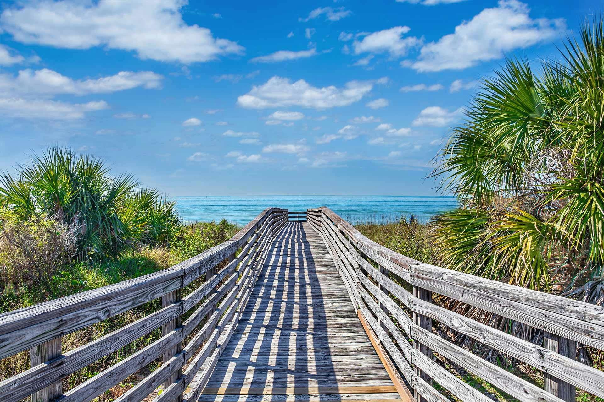 Top Campgrounds in Honeymoon Island State Park, Florida