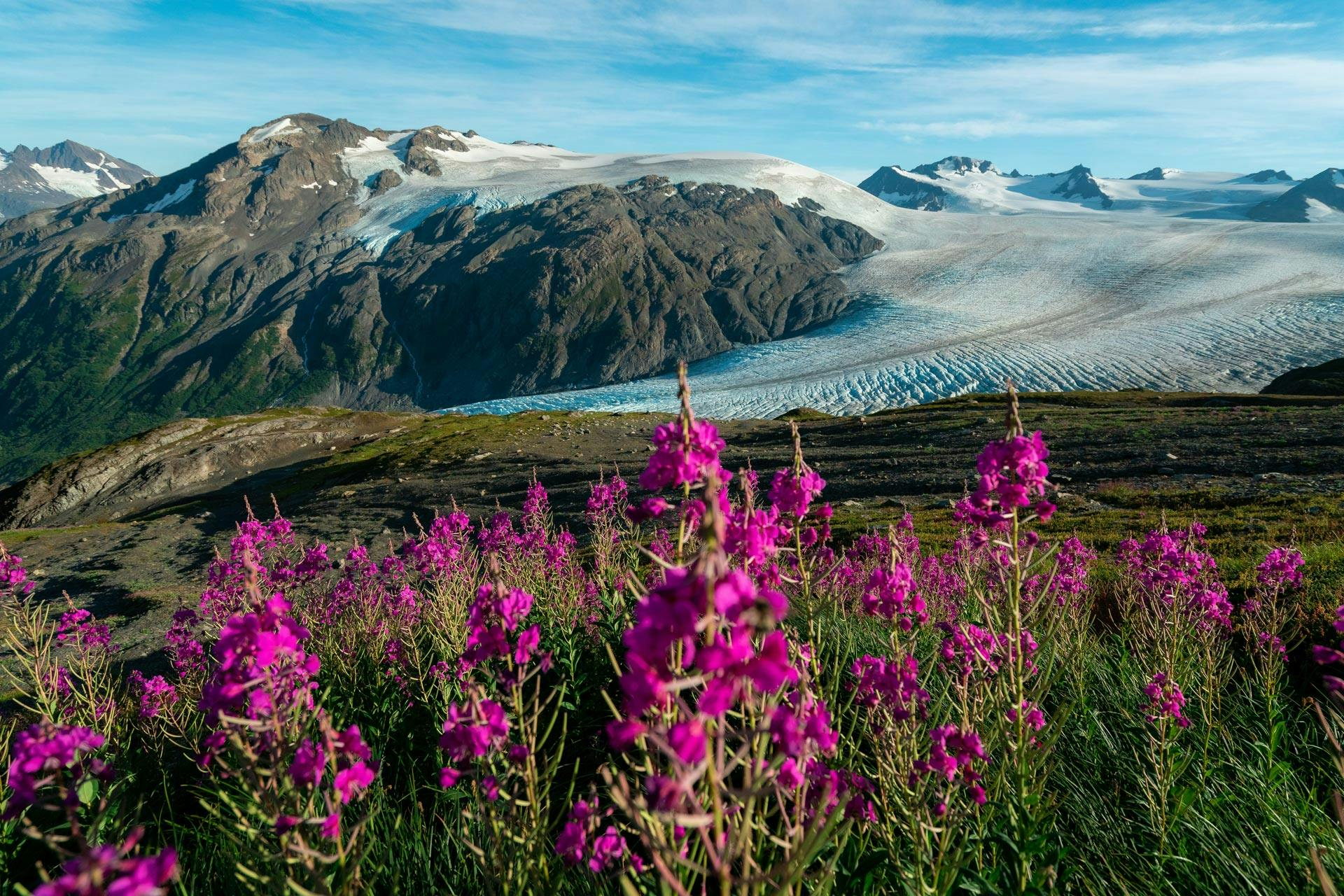 Top Campgrounds in Kenai Fjords National Park, Alaska
