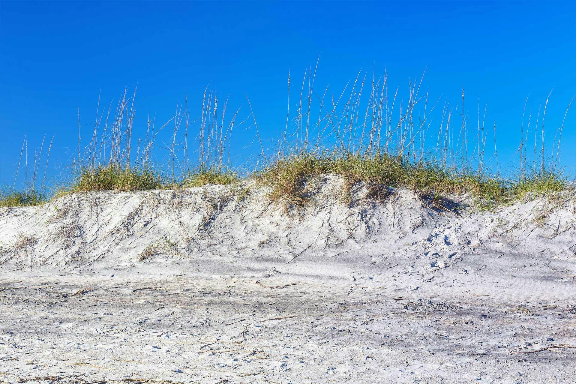 Top Campgrounds in Little Talbot Island State Park, Florida