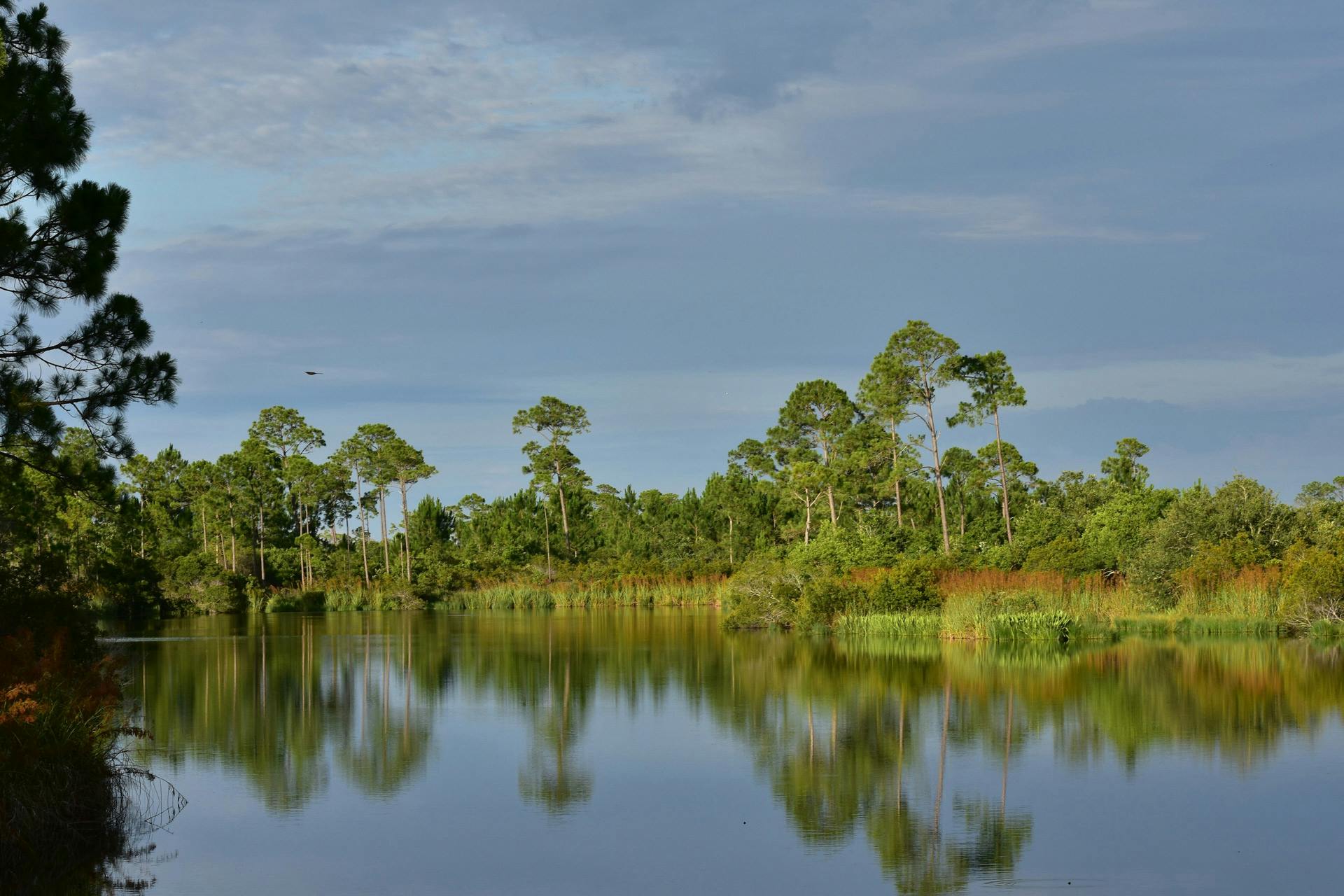 Top Campgrounds in Big Lagoon State Park, Florida